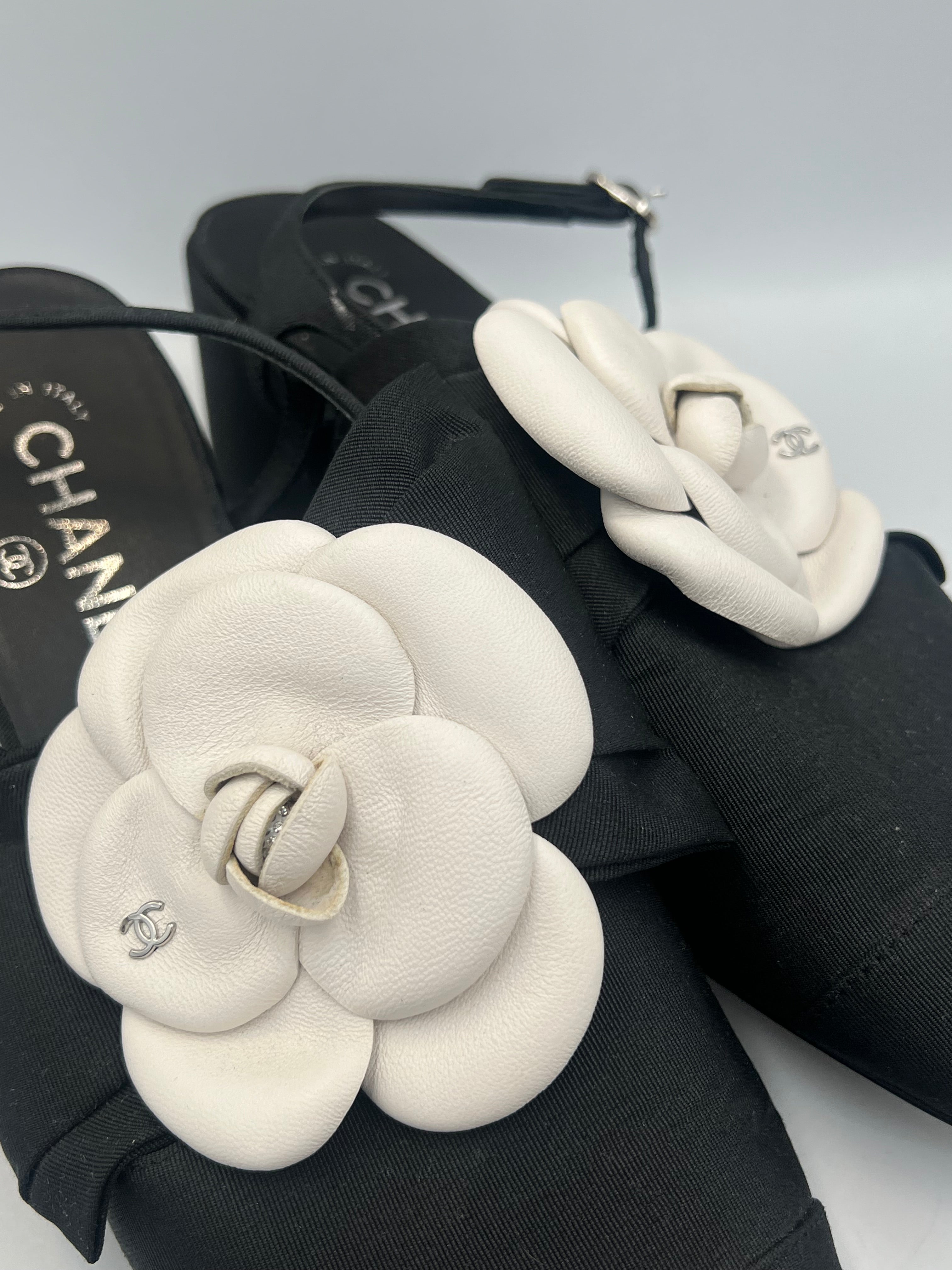 Slingbacks with Camellia