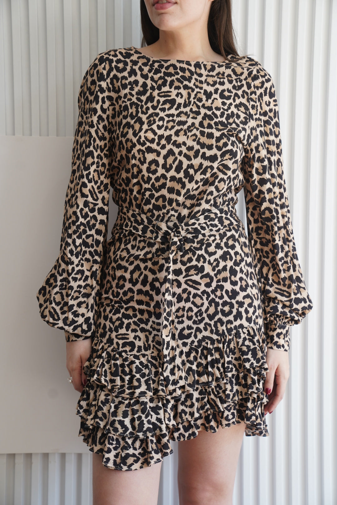 Animal Print Leopard Dress