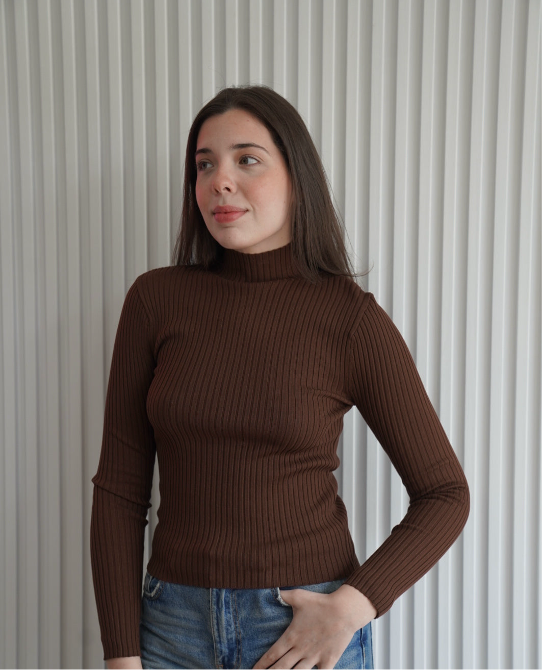Ribbed Turtleneck Sweater