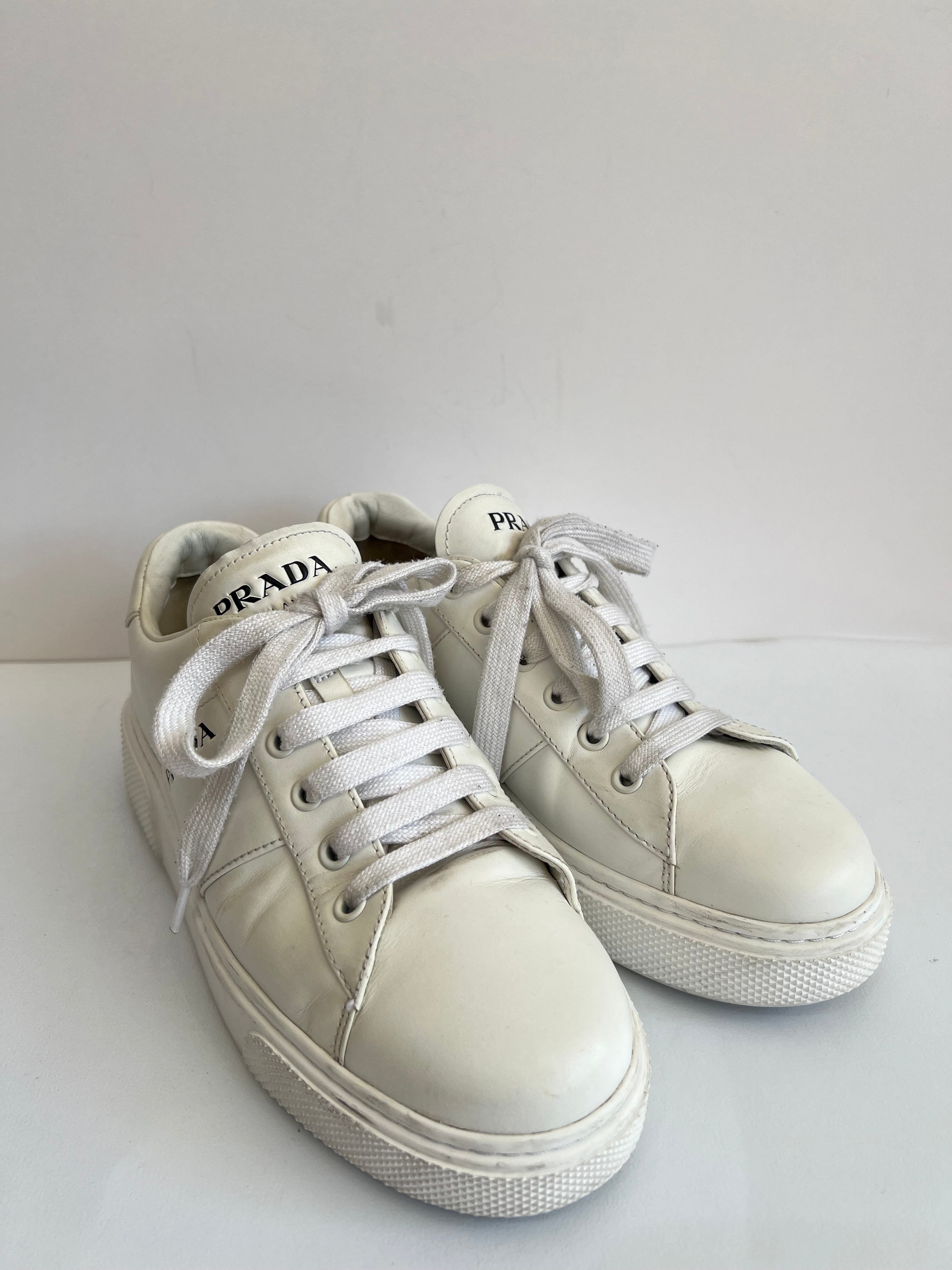Low Top Sneakers (37)