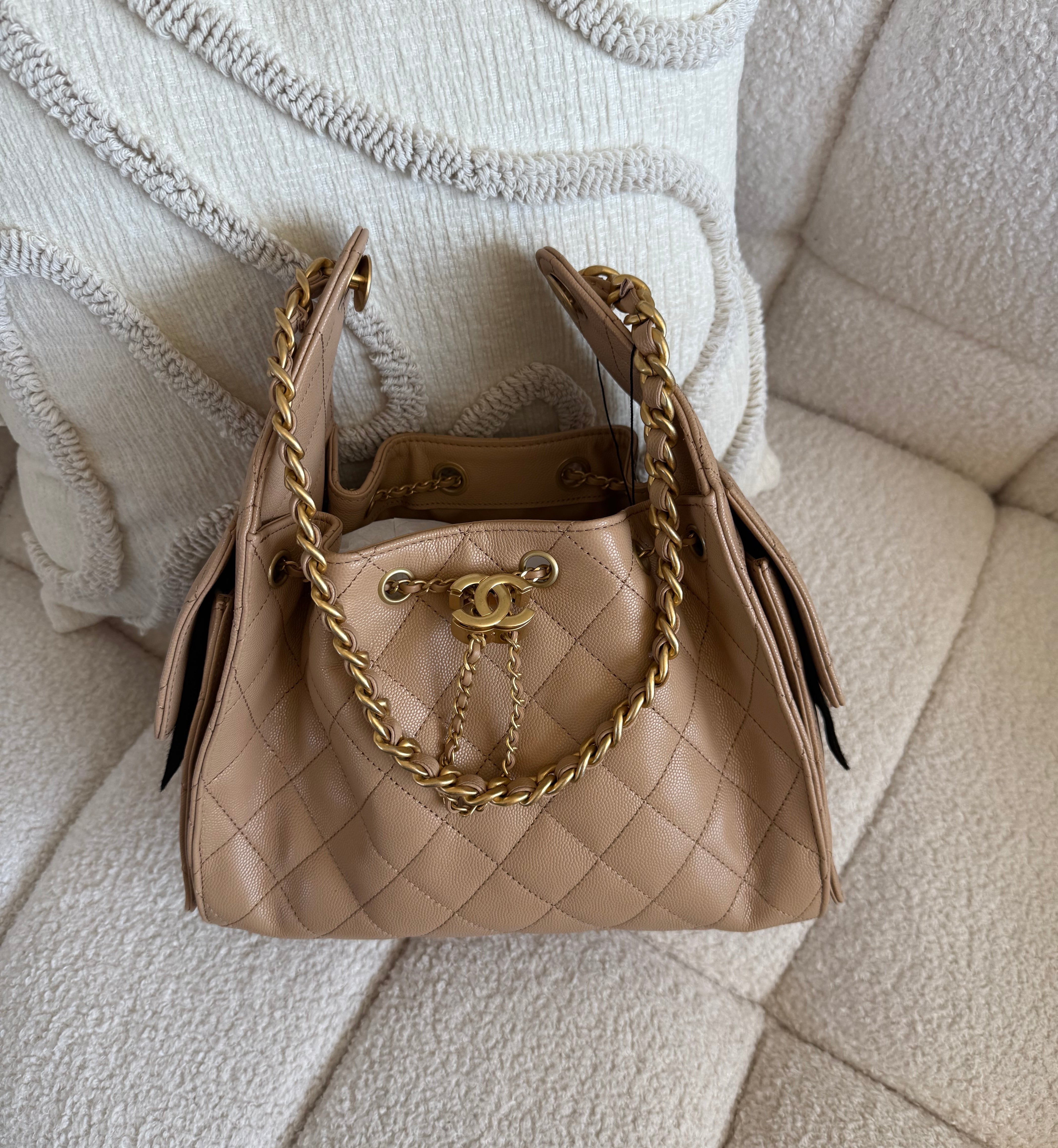 C25 Small Hobo Nude Bag