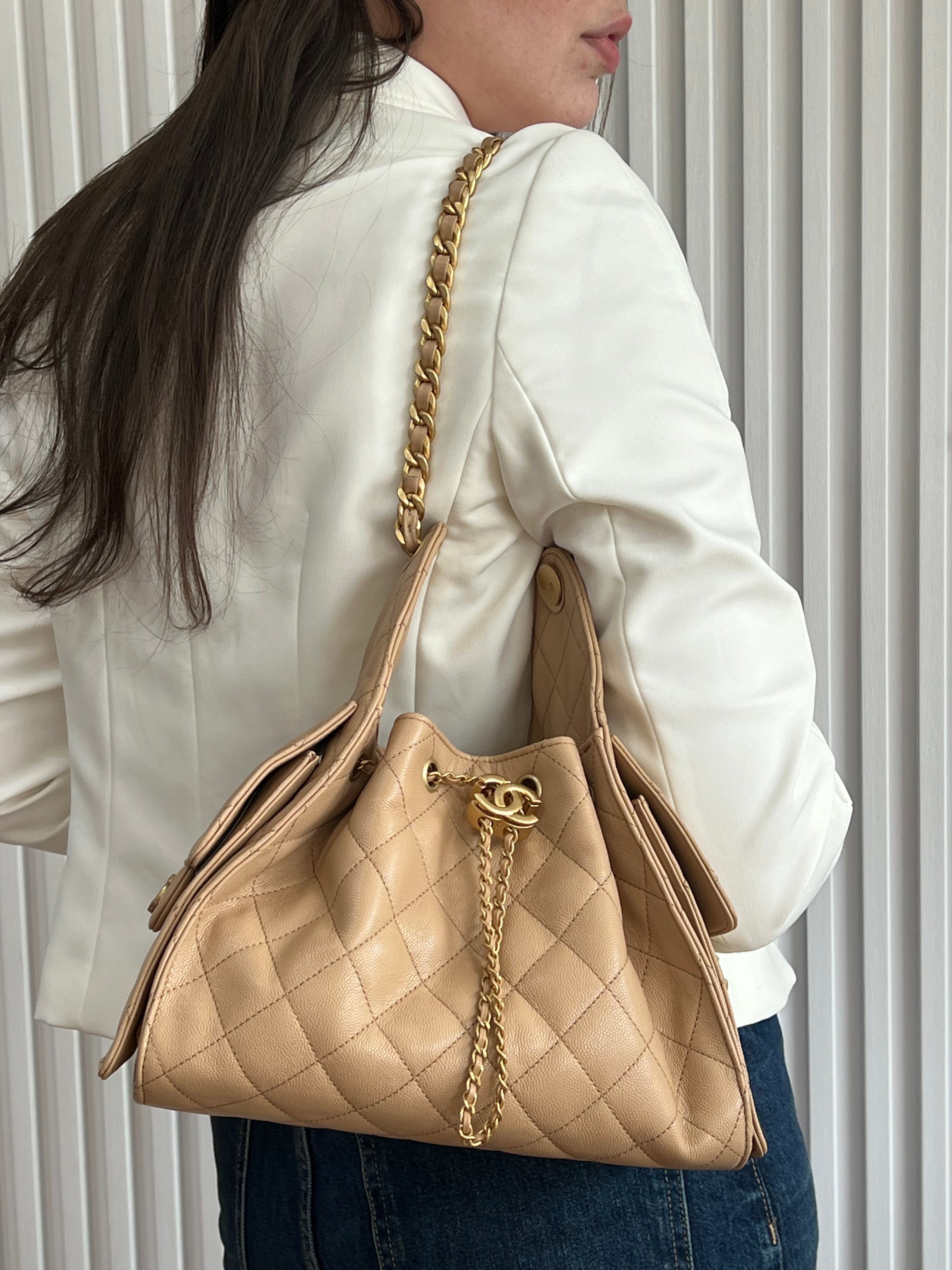 C25 Small Hobo Nude Bag