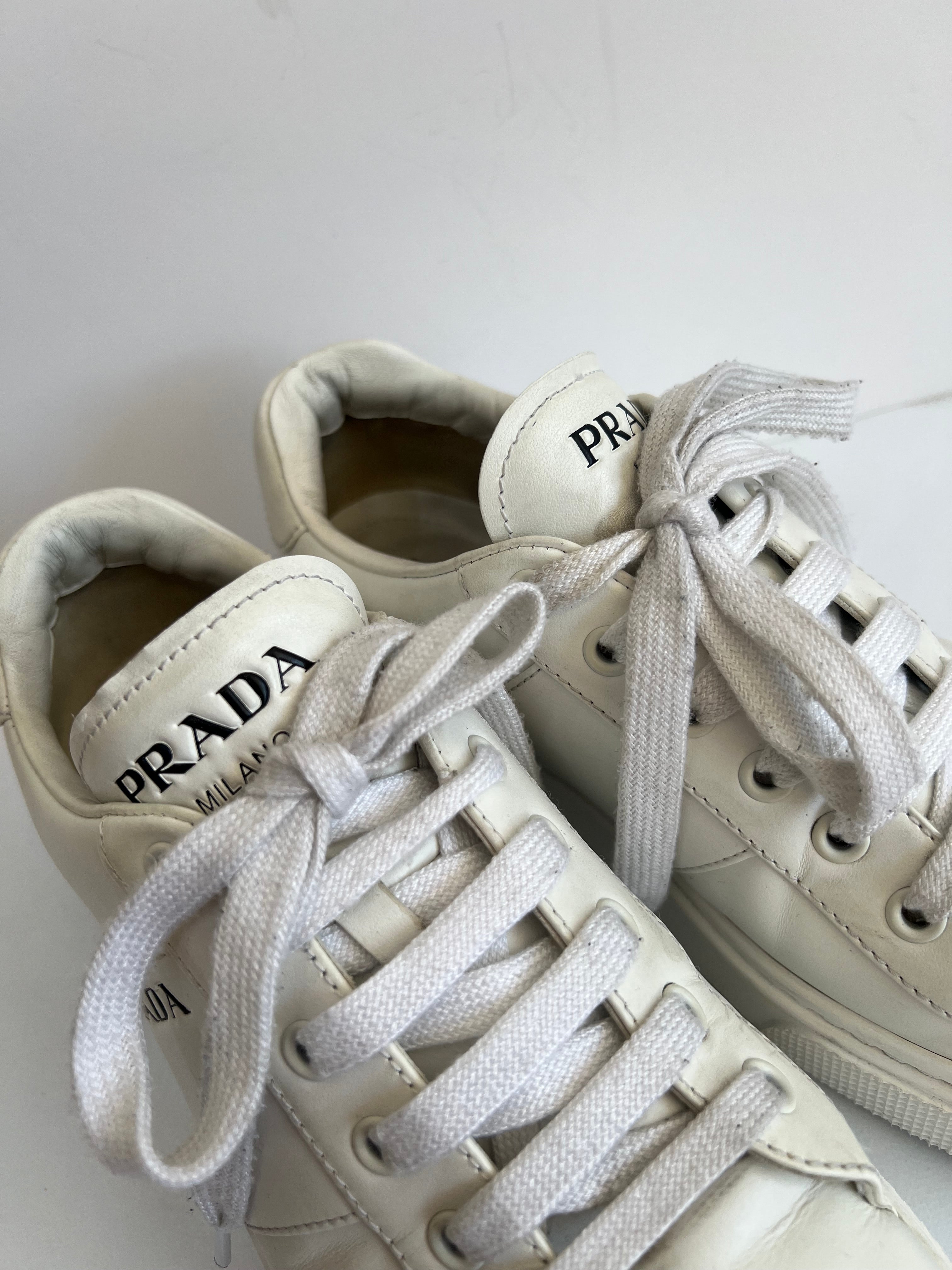 Low Top Sneakers (37)