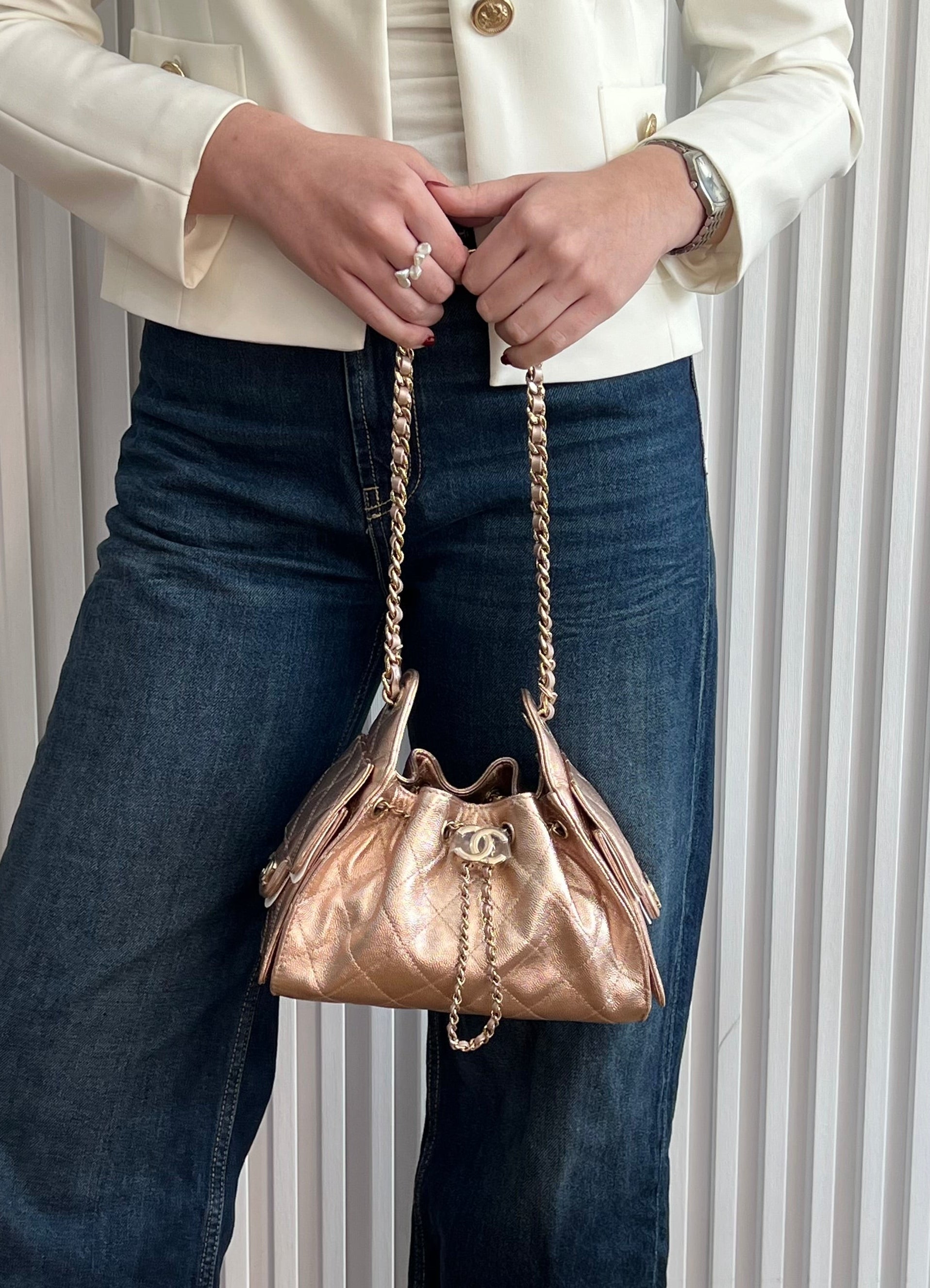 C25 Mini Hobo Metallic Bag