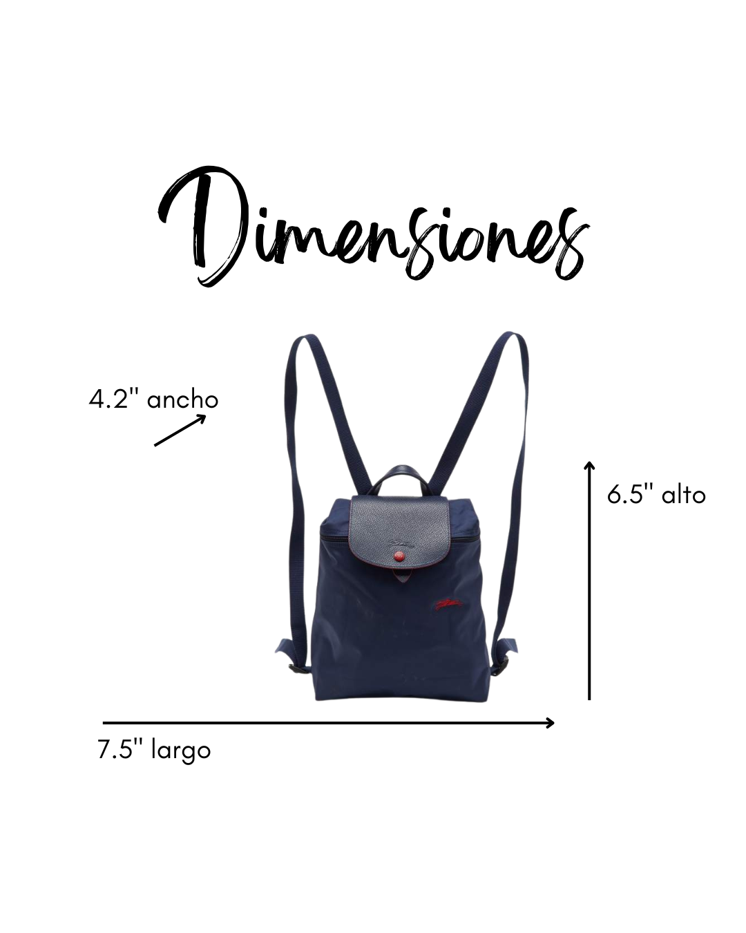 Le Pliage Mini Backpack