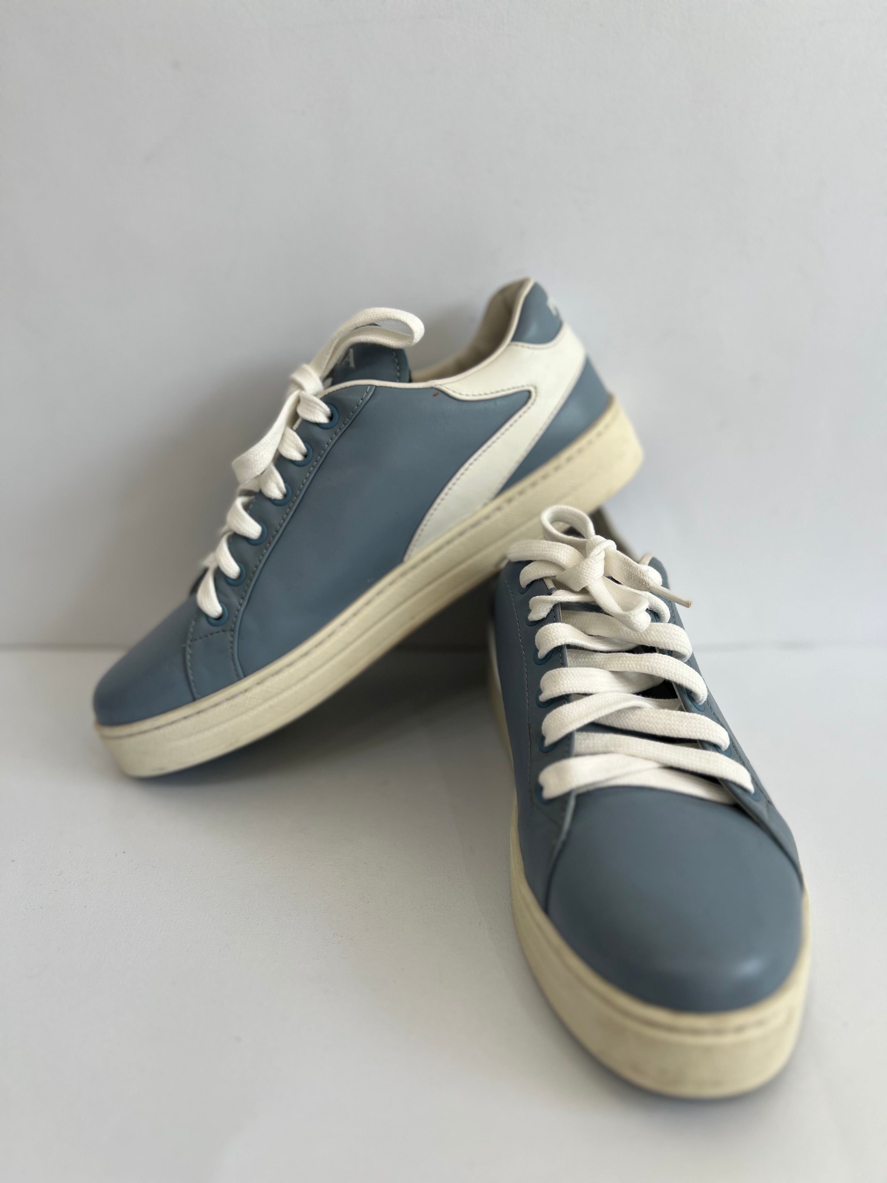 Low Top Sneakers