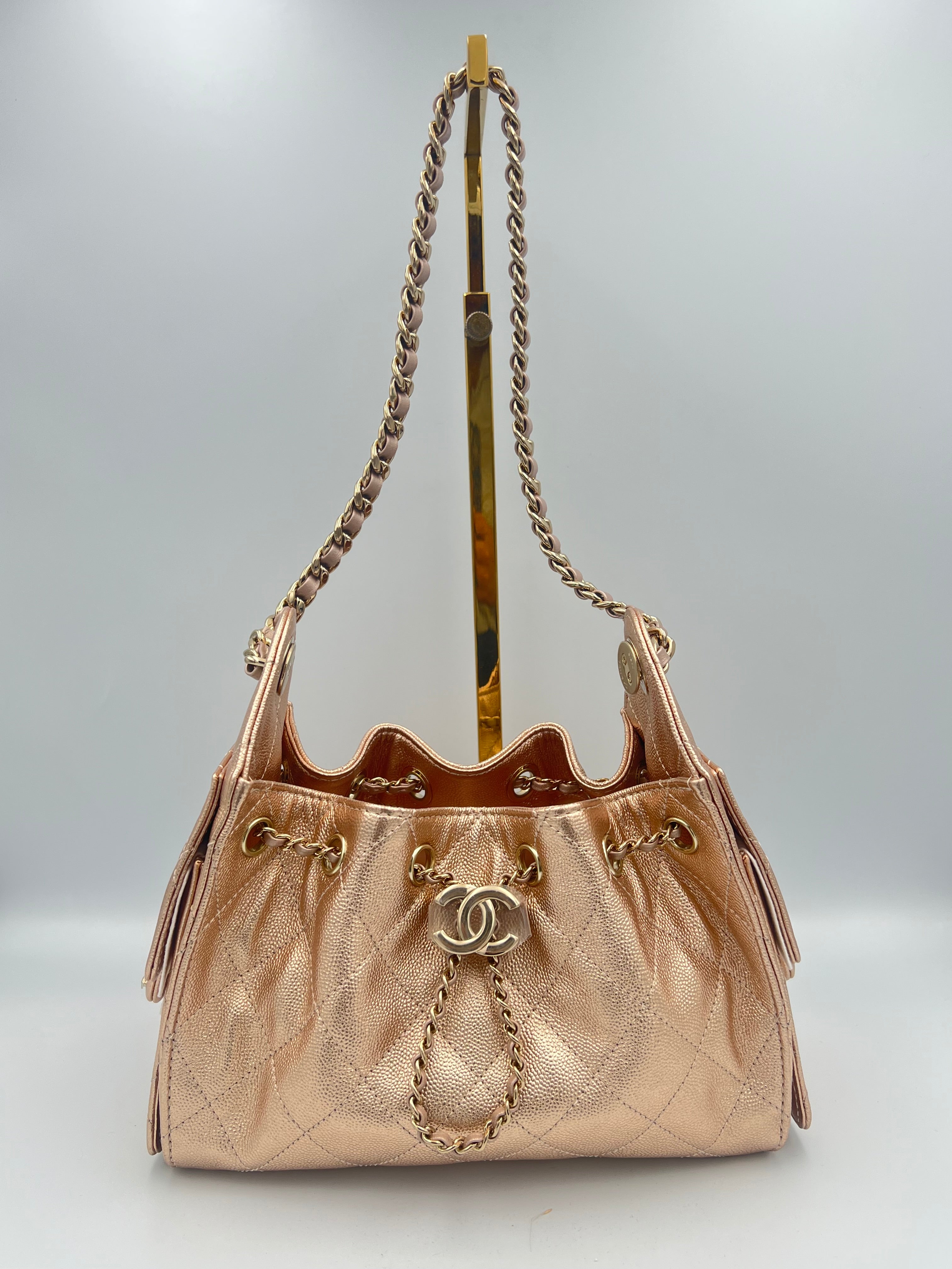 C25 Mini Hobo Metallic Bag