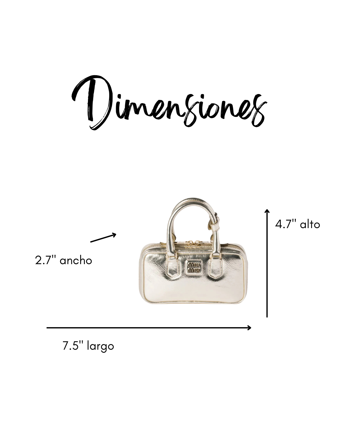 Arcadie Laminated Mini Bag