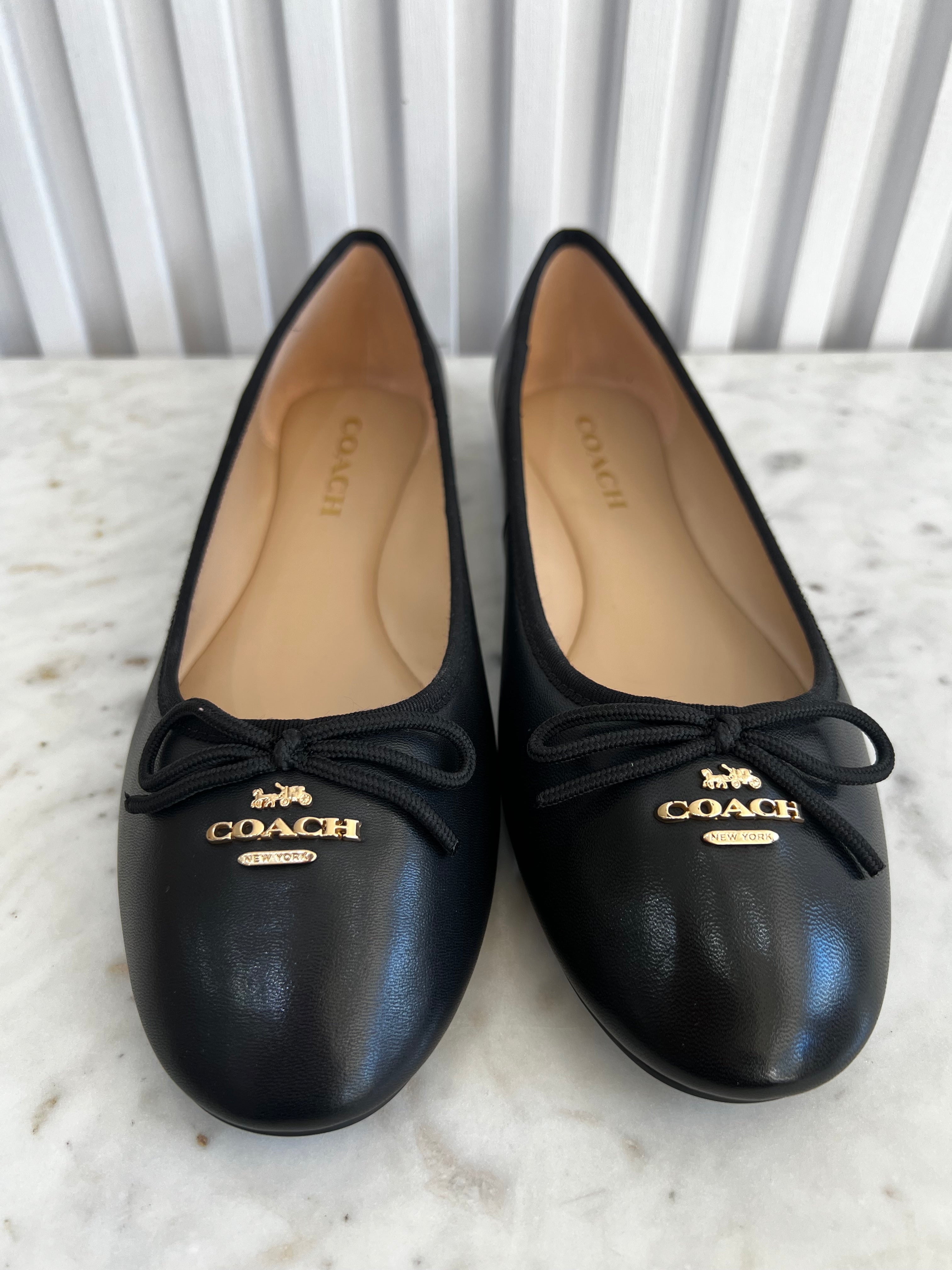 Alina Ballet Flats