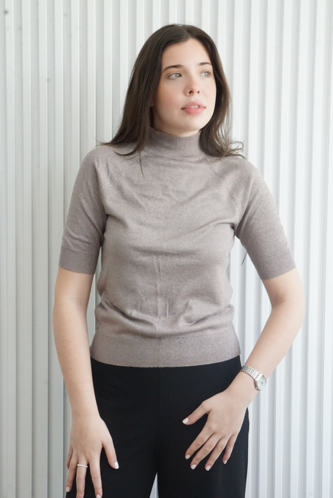 Turtle-neck Sweater Top