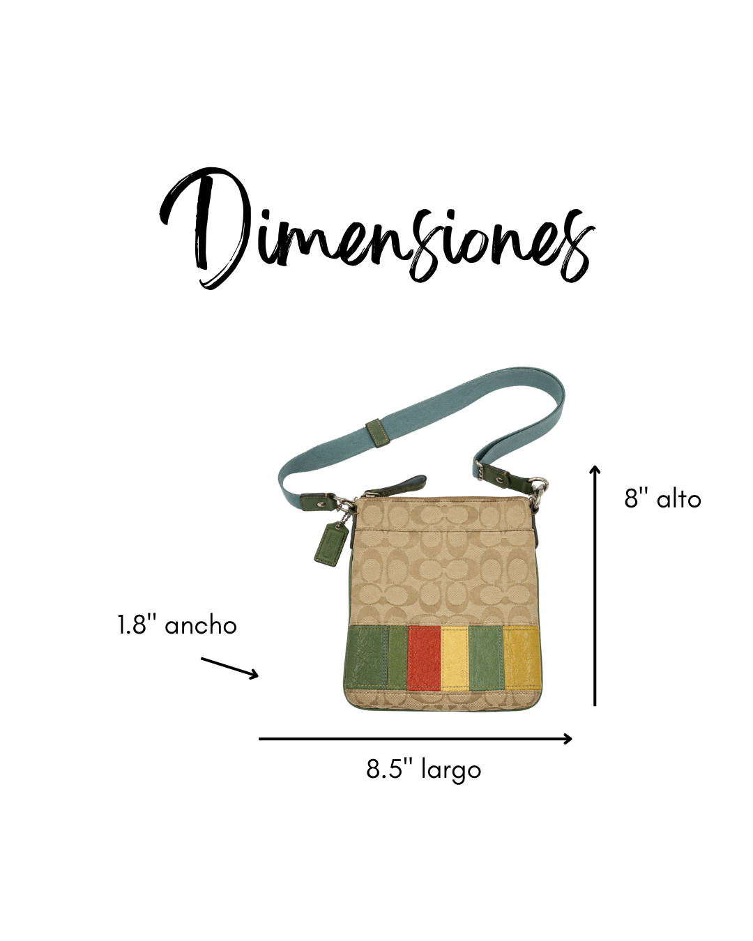 Signature Stripe Swingpack Crossbody Bag