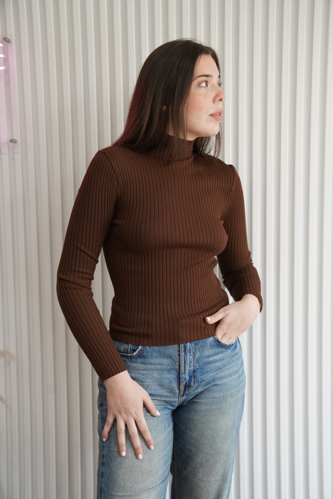 Ribbed Turtleneck Sweater