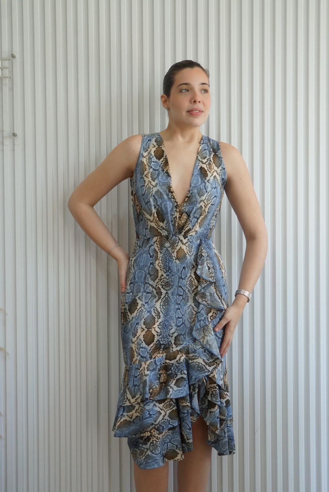 Snake Print Midi Dress