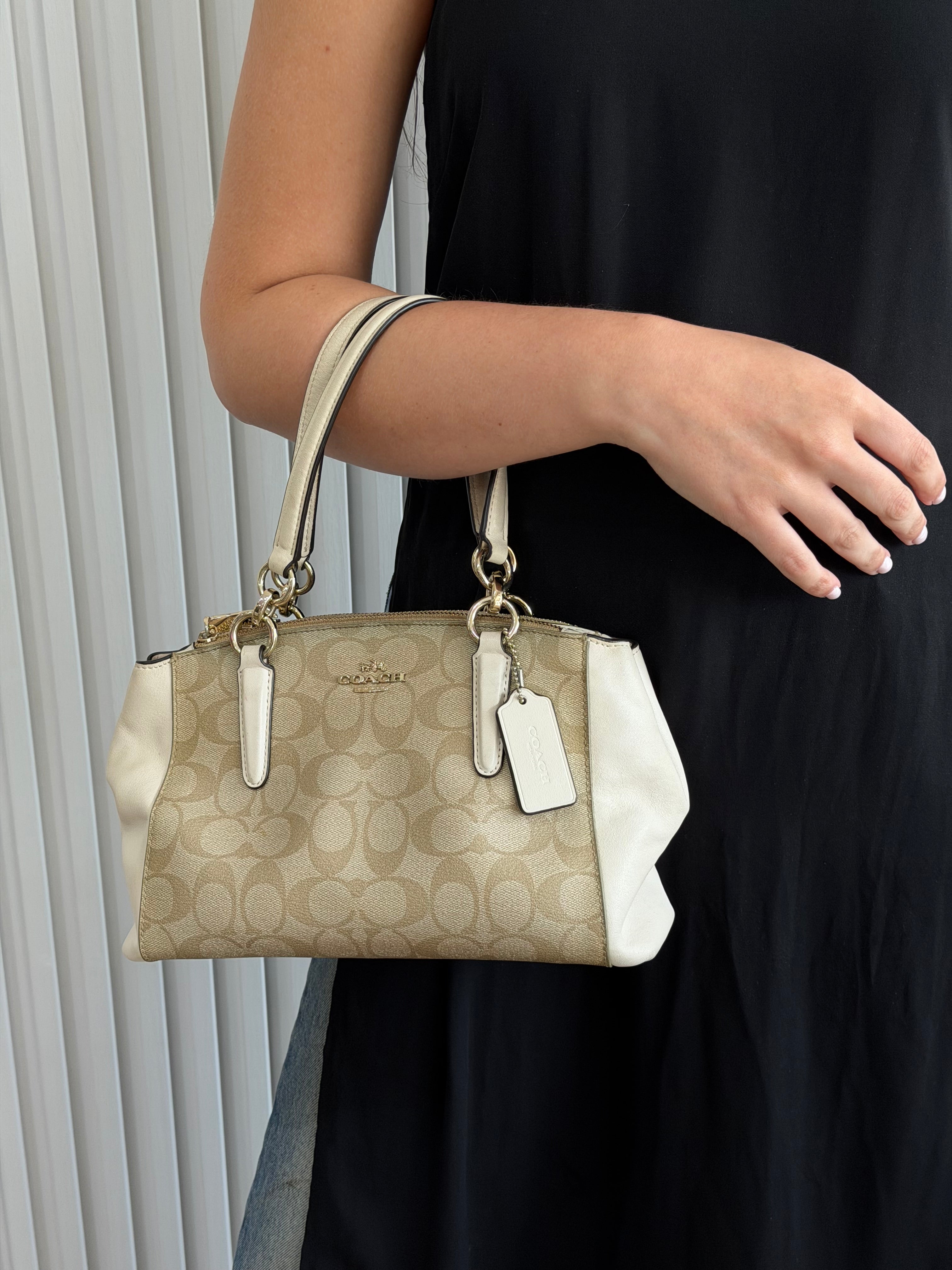 Small Christie Carryall Bag