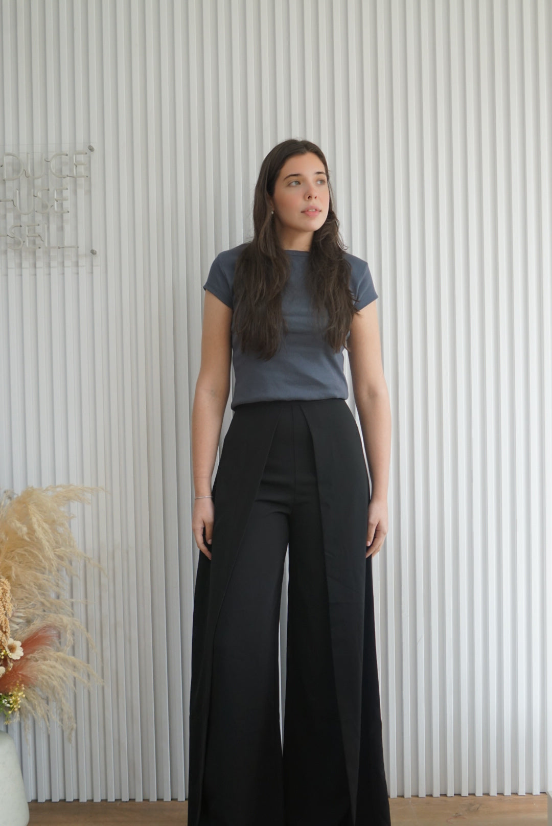 High Waisted Pleated Wide Leg Pants