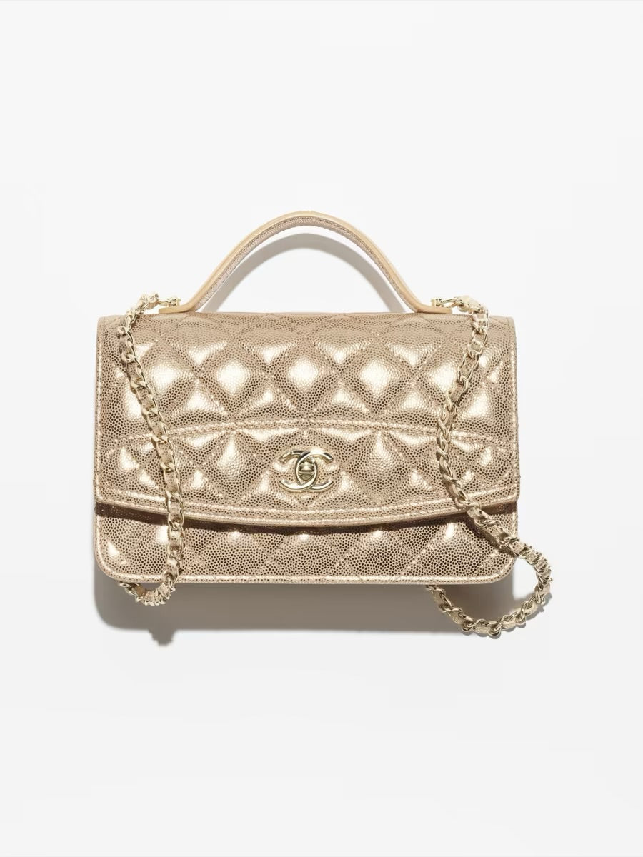 25C Top Handle Vanity Bag