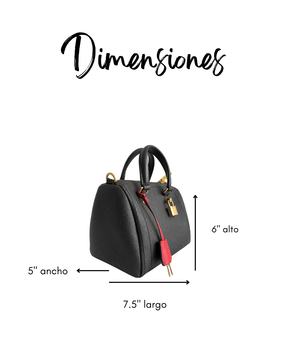Andy 5 Locked Crossbody Bag